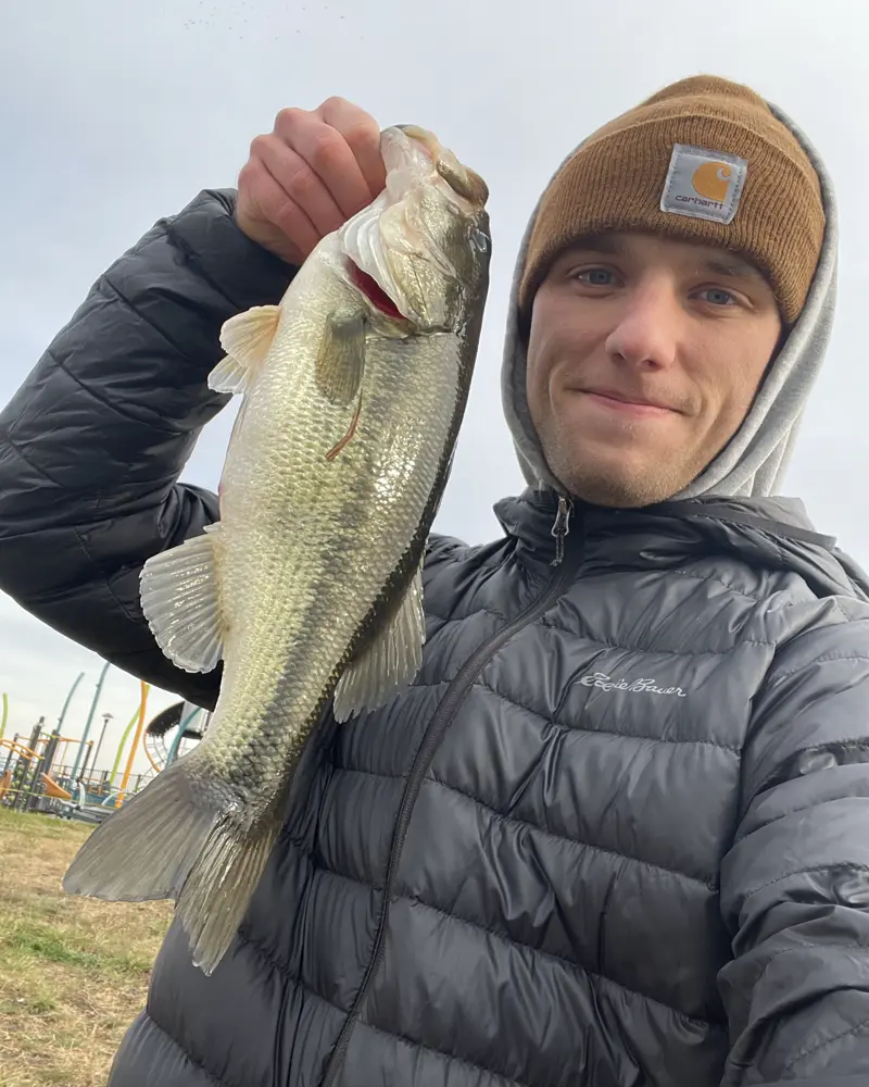 Largemouth bass caught on a spook